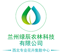 這里寫上圖片的說明文字(前臺(tái)顯示)